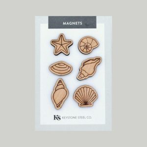 Adventure | Seashell Magnets, Pack of 6 Adventure Adventure