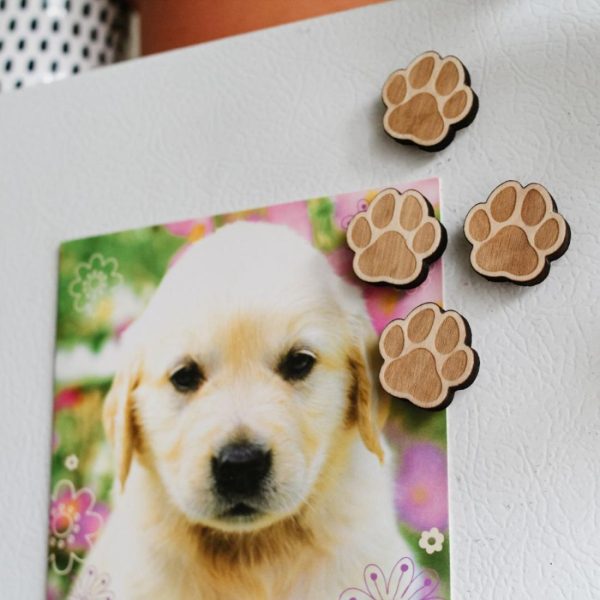 Animals | Paw Print Magnets, Pack of 4 Magnets Animals