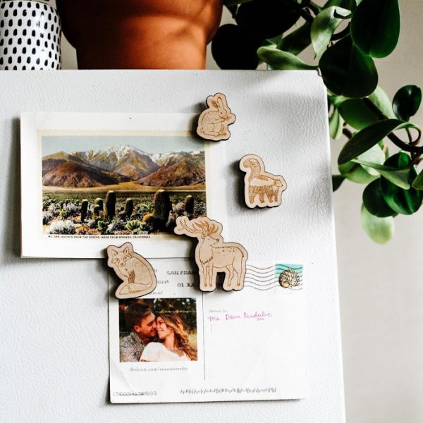 Animals | Woodland Animal Magnets, Pack of 4 Animals Animals