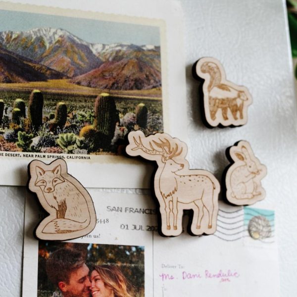 Animals | Woodland Animal Magnets, Pack of 4 Animals Animals