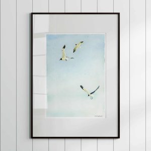 Art Prints | Watercolor Seagulls – 12×18 Art Print Art Prints Art Prints