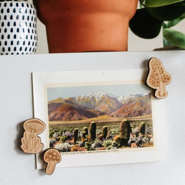 Flowers, Plants + Garden | Mushroom and Fungus Magnets, Pack of 3 Flowers, Plants + Garden Flowers, Plants + Garden