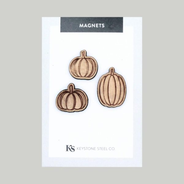 Holidays | Pumpkin Magnets, Pack of 3 Flowers, Plants + Garden Flowers, Plants + Garden